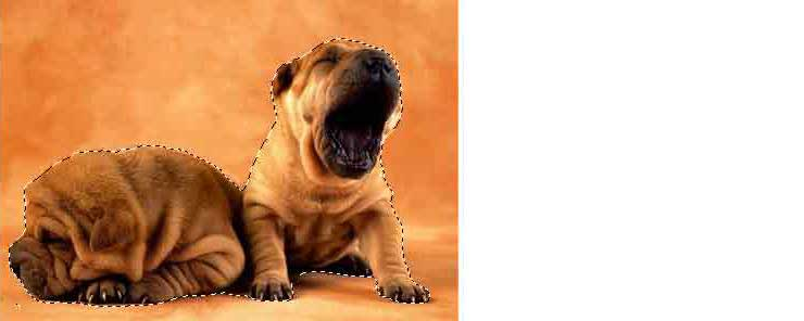 Выделение быстрой маской Выделение быстрой маской