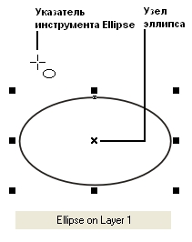 Эллипс, рамка выделения, указатель инструмента Ellipse (Эллипс) и сообщение в строке состояния Эллипс, рамка выделения, указатель инструмента Ellipse (Эллипс) и сообщение в строке состояния