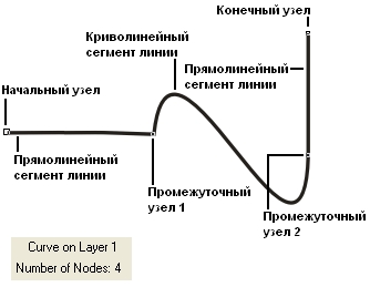 Сегменты и узлы линии Сегменты и узлы линии